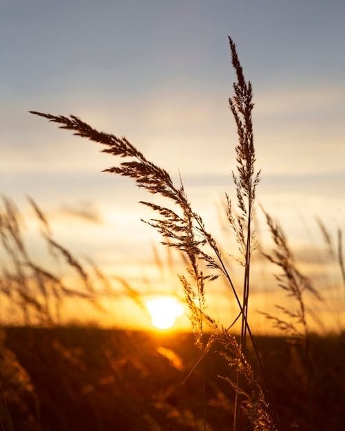 La lumière du Sud-Ouest, au fil des saisons.